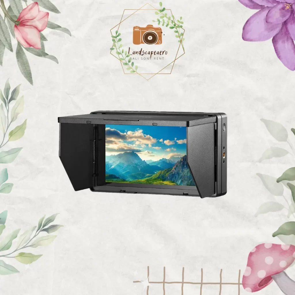 Monitor Godox GM55